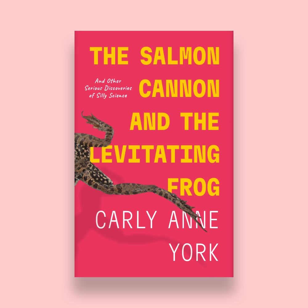 The Salmon Cannon and the Levitating Frog book cover design by Vera Villanueva